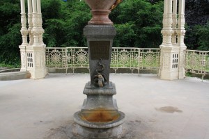 IMG_0691