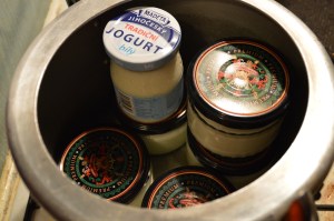 Preparando el yogurt para dejarlo reposar en una olla a presión