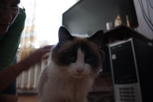 Nuestro "anfitrión"