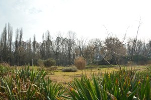 Parque botánico en invierno