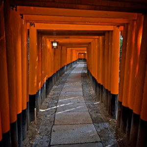 Fuente instagram: everythingeverywhere