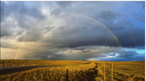 Fuente instagram: Wattsabi