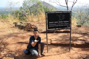 Monos por todos lados