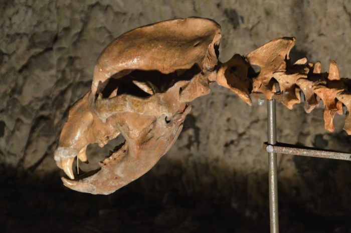 Antiguo casero - Old landlord