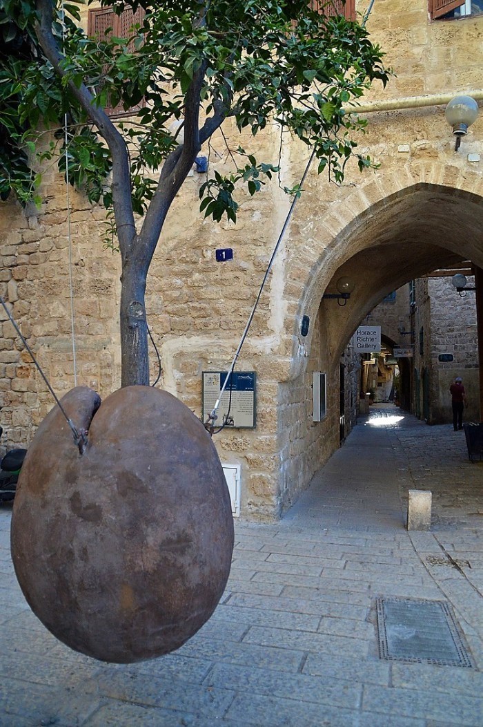 Arbol volador - Flying tree
