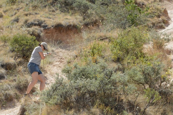 bajando por el valle - going down from the valley