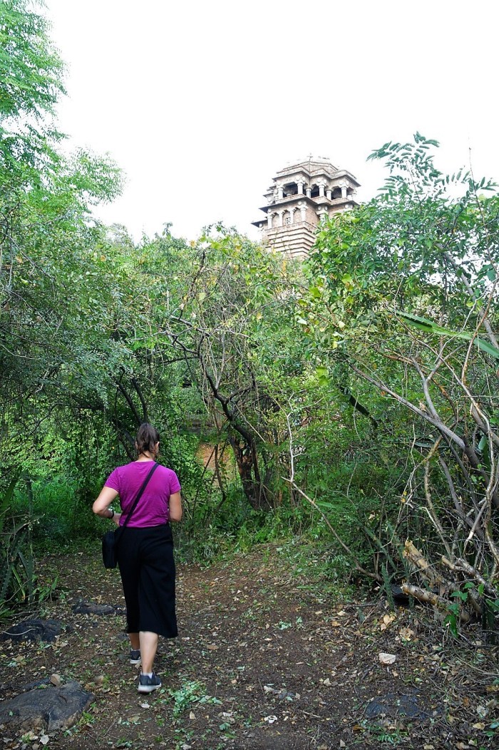 Donde nos metemos - Where did we get in